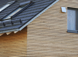 extension bois conseils