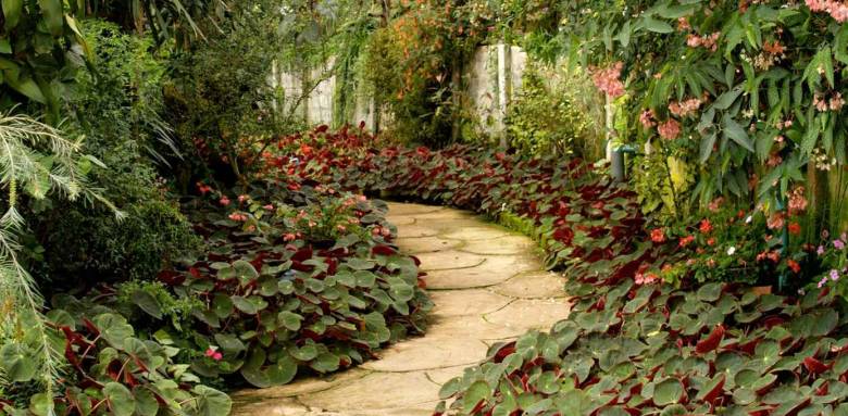 Un allée de jardin