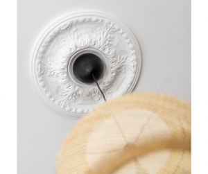 Décoration plafond Mâcon