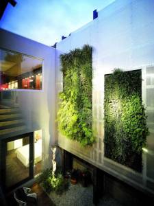 Mur végétal extérieur