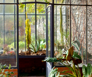 Véranda en fer forgé