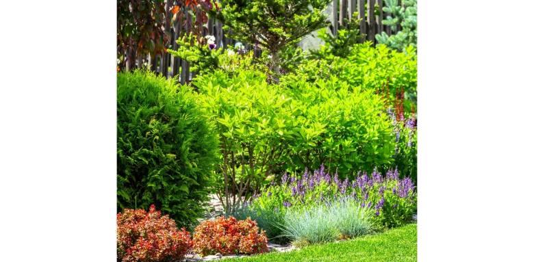 Préparer sa maison pour le printemps : les travaux à anticiper pour éviter les mauvaises surprises - 14770 Terres de Druance