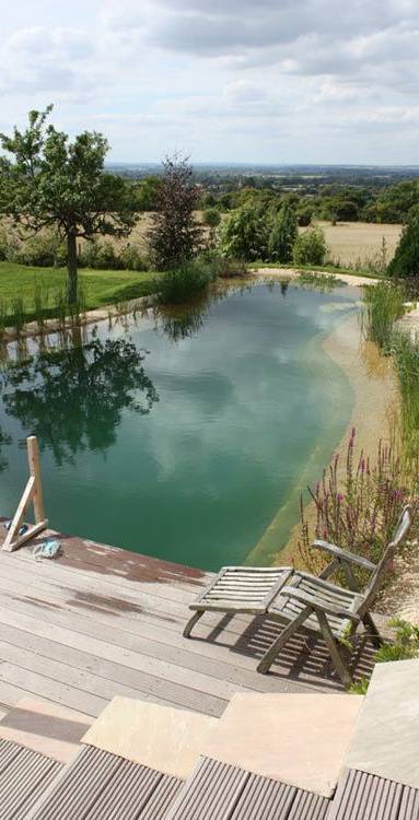 piscine naturelle  la maison des travaux