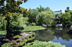 Créer une oasis dans son jardin