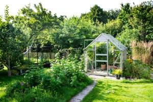 Aménager une serre de jardin 