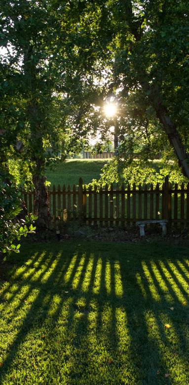 Tout savoir sur la rénovation de clôture mitoyenne