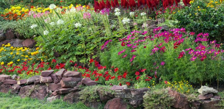 Aménagement de jardin fleuri - Bourg-en-Bresse 01