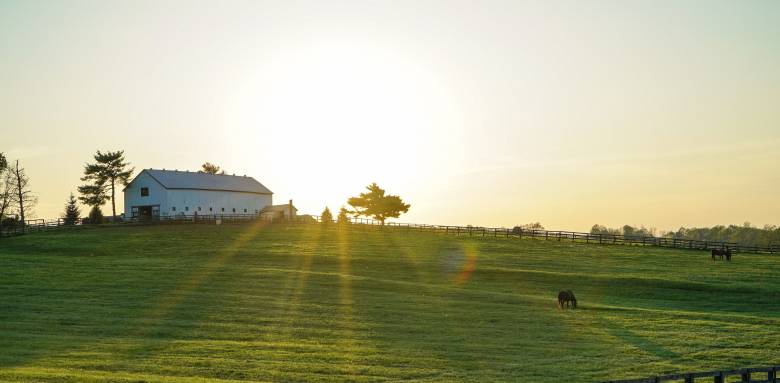 Conseils sur la rénovation d'une grange