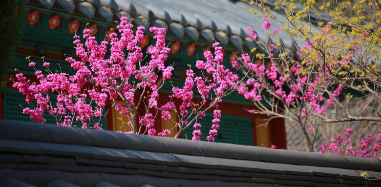 Travaux de printemps 