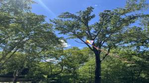 climatisation végétale