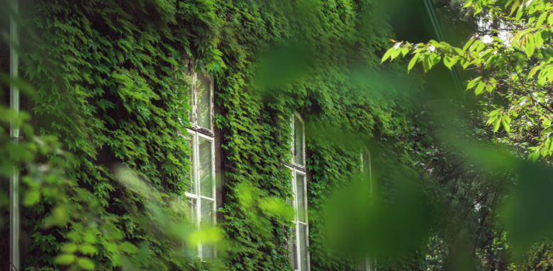 Mur végétal extérieur Montbrison