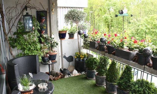 Balcon terrasse fleurs plantes