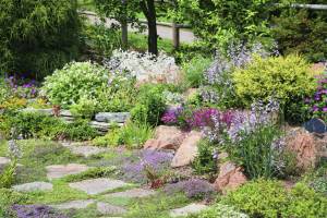Jardin minéral avec massifs et arbustes