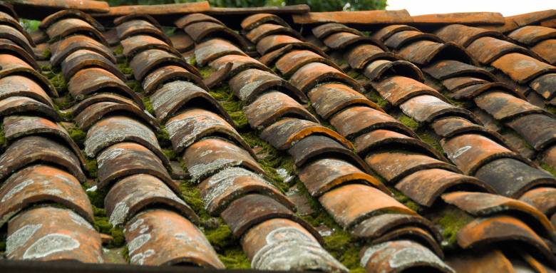 Toiture en tuiles encrassée avant travaux d'entretien - Rochefort 17300