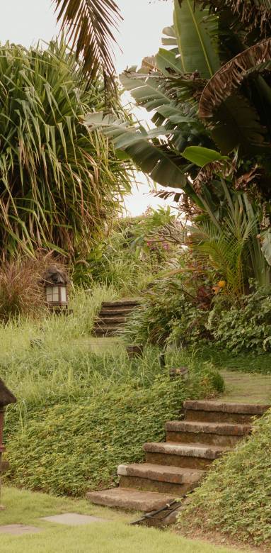 jardin en pente savoie