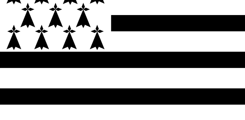 Participez à un stage sur le patrimoine breton à Vannes