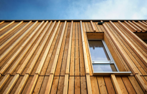 extension en bois