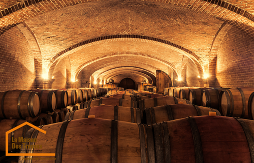 baril à vin dans cave à vin  