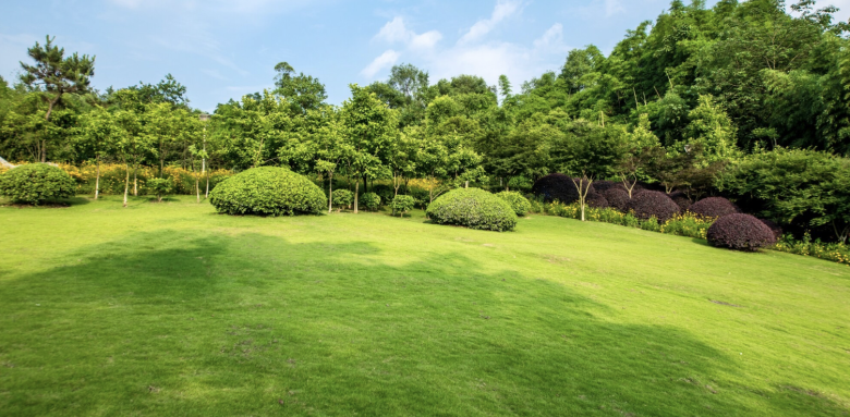renover-jardin-castres