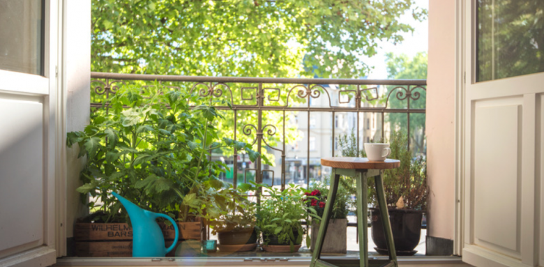 Poser des plantes à Poissy