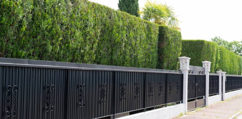 Mur de cloture avec grille