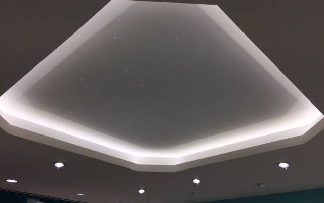 Zoom sur le faux plafond 