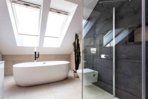 Rénovation complète d'une suite salle de bains - toilettes, Lyon La Mulatière