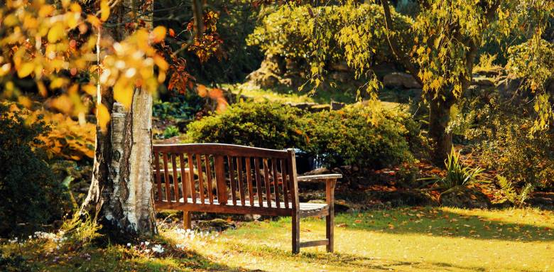 Pourquoi faire appel à un courtier en travaux pour son jardin et ses extérieurs à Pecqueuse