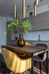 Magnifique cuisine ouverte appartement Le Chesnay