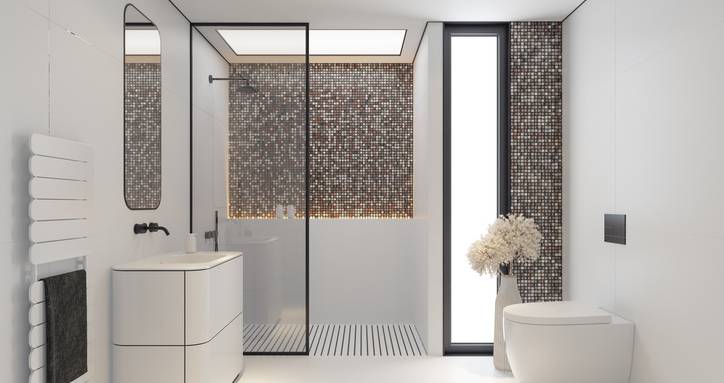 Salle de douche avec WC