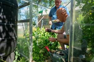 Serre de jardin
