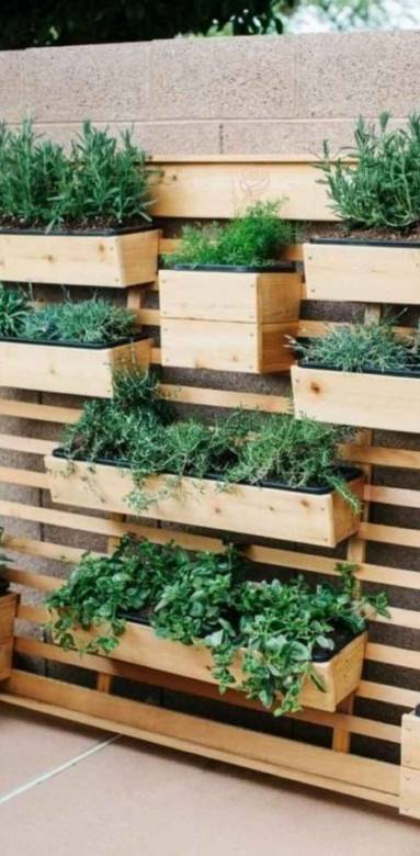 Aménagement d'un potager sur sa terrasse ou son balcon