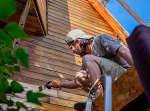 rénovation été peinture