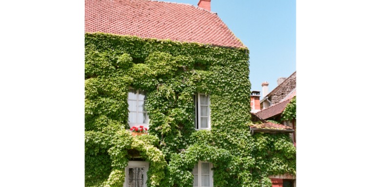 Façade végétalisée Haguenau