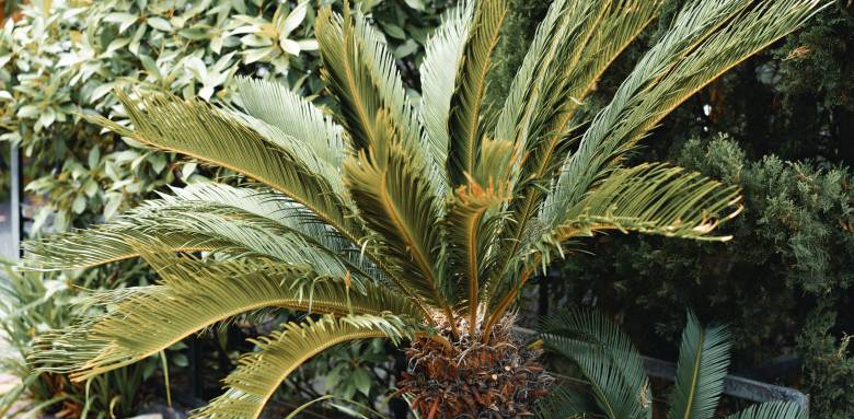 Créer une oasis dans le jardin - Nantes 44