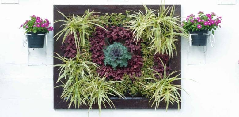 Le mur végétalisé comme idée Déco