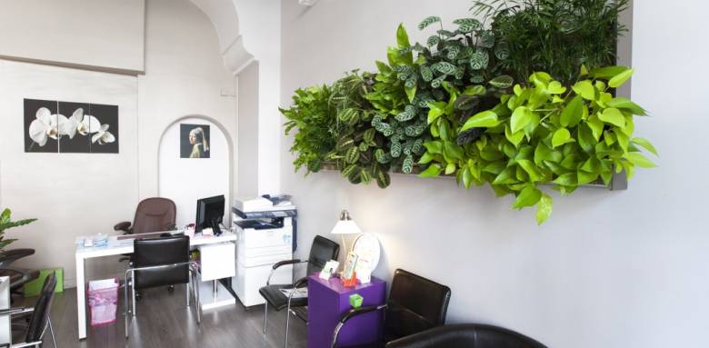 Mur végétal en intérieur