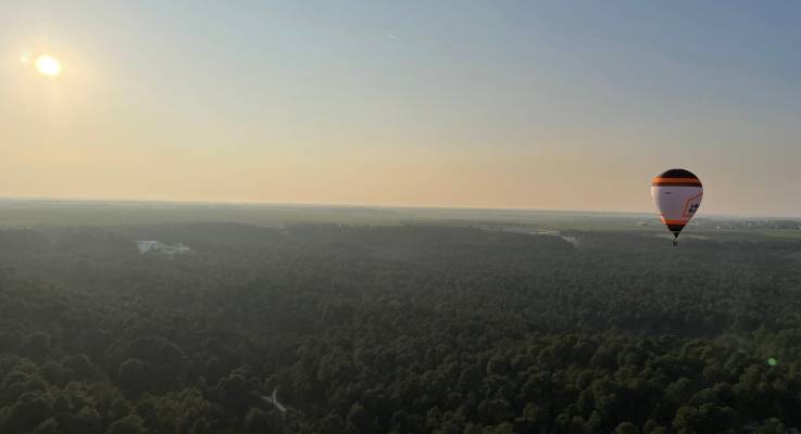 Survol de la forêt de Fontainebleau