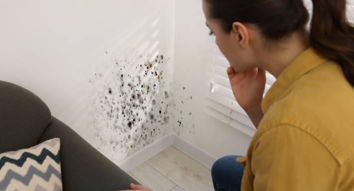 humidité mur habitat - La Maison Des Travaux