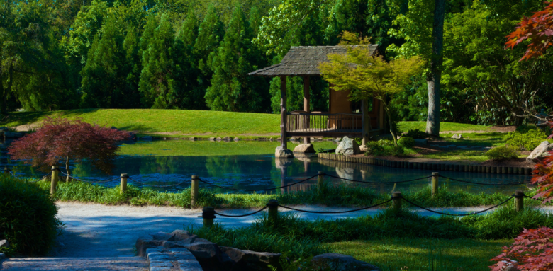 Jardin japonais