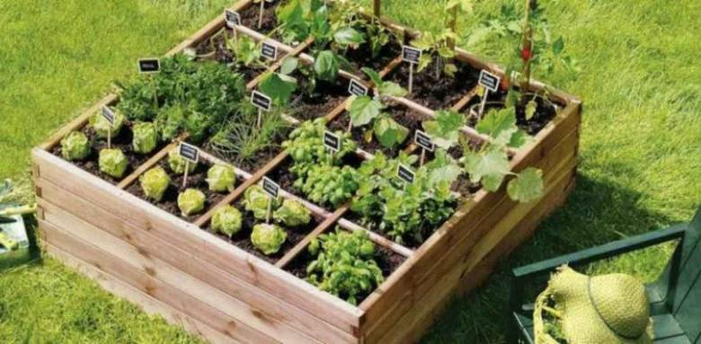 Création d'un potager à Honfleur