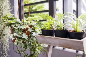 Installer un jardin d'hiver à Viry-Châtillon 