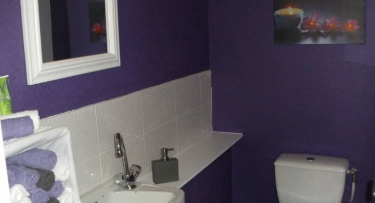 Salle de bain couleur violette