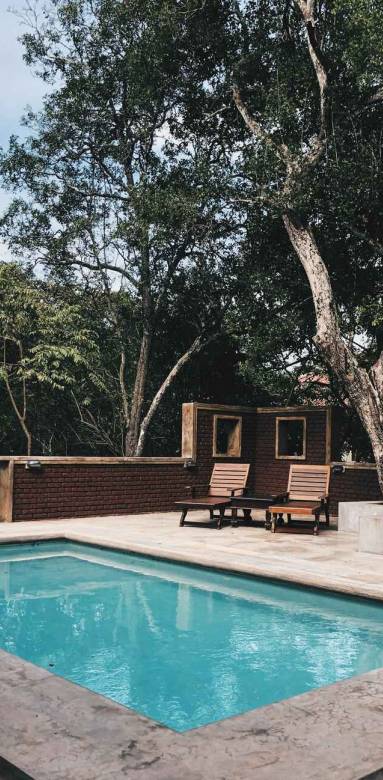 Une piscine dans un jardin provençal 