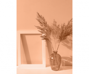 Tendances déco 2024 Haguenau