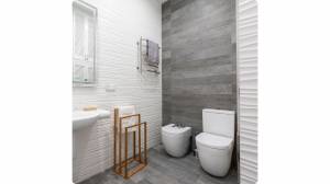 Choix de faïence pour ses toilettes sur La Haye-Pesnel 50320