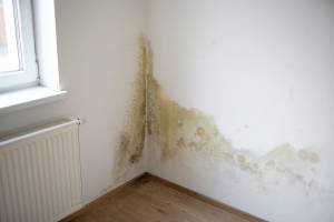 Solutions isolation : comment protéger sa maison de l'humidité ? 
