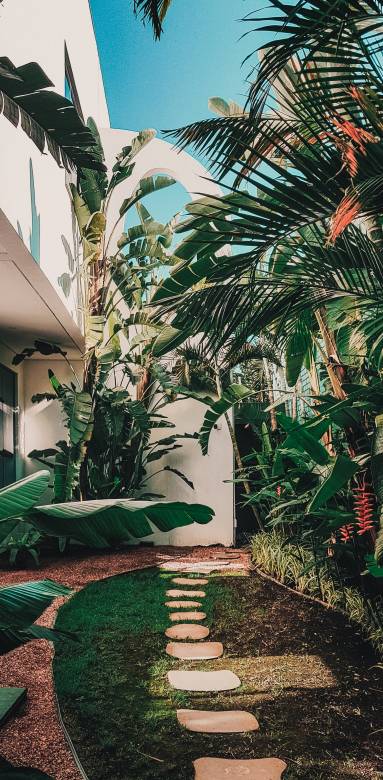 Aménagement de jardin 