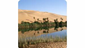 Créer une oasis dans son jardin - Saint-Aubin-des-Préaux 50380