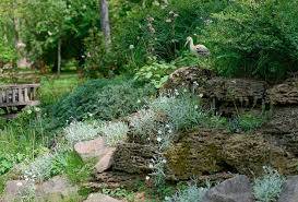 jardin